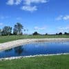 Peaceful pond with True Blue Pond Dye surrounded by lush green grass and trees under a clear blue sky.