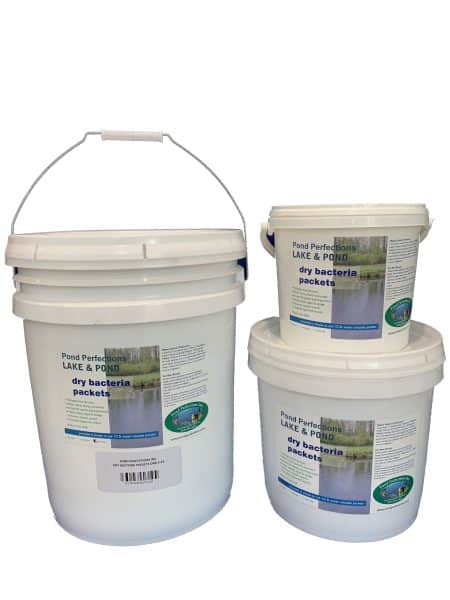 Pond Clarifier Sludge & Water Quality Bacteria Treatment