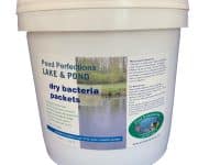 Pond Clarifier Sludge & Water Quality Bacteria