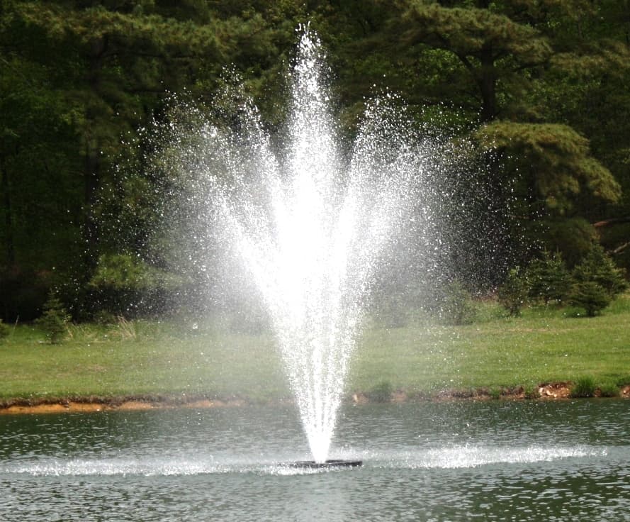 fountain in a pond