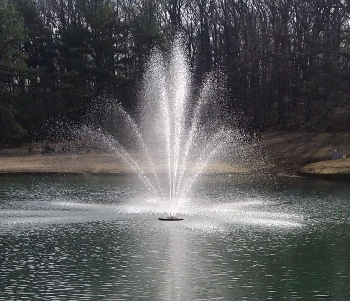 fountain in a pond