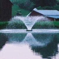Enhance your pond with the F1000F Bearon Aquatics aerating fountain, delivering a stunning symmetrical water display and improving aeration and water quality