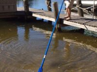 Person using the Beachroller lake weed removal tool with a 20ft handle and stainless steel blades.