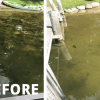 Before and after using the Beachroller lake weed removal tool, showing a clean waterfront.