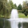 Kasco 4400 Birch 1 HP J Series Fountain creating a vibrant water display in a serene pond.
